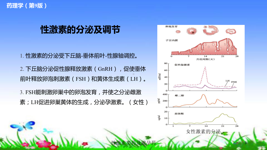 性激素类药及避孕药培训课件.ppt_第3页