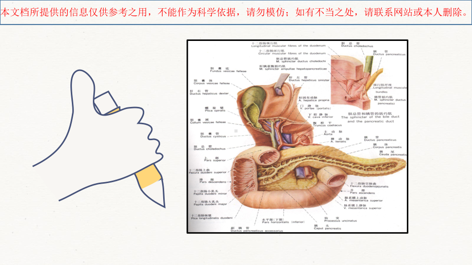 急性化脓性胆管炎的医疗护理培训课件.ppt_第2页