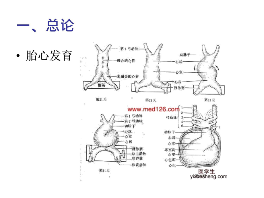 循环系统疾病护理课件.ppt_第3页