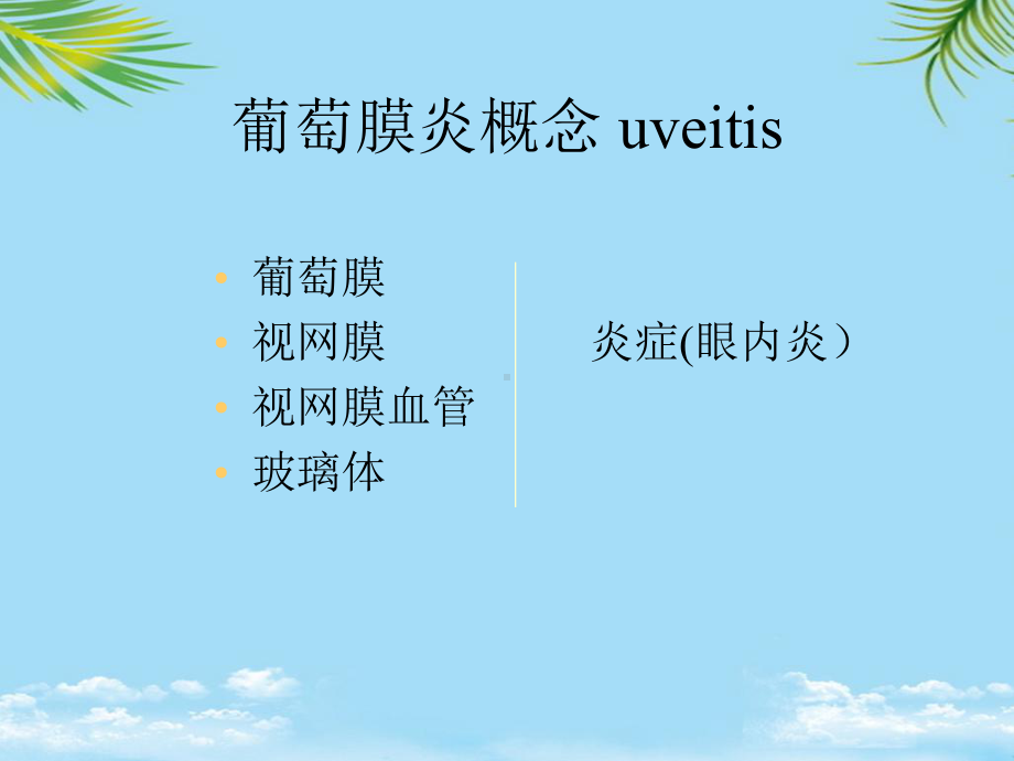 教培用葡萄膜视网膜病视神经课件.ppt_第2页