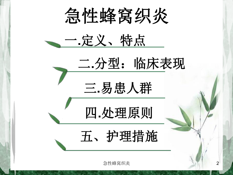 急性蜂窝织炎培训课件.ppt_第2页