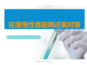 延缓慢性肾脏病进展对策课件.ppt