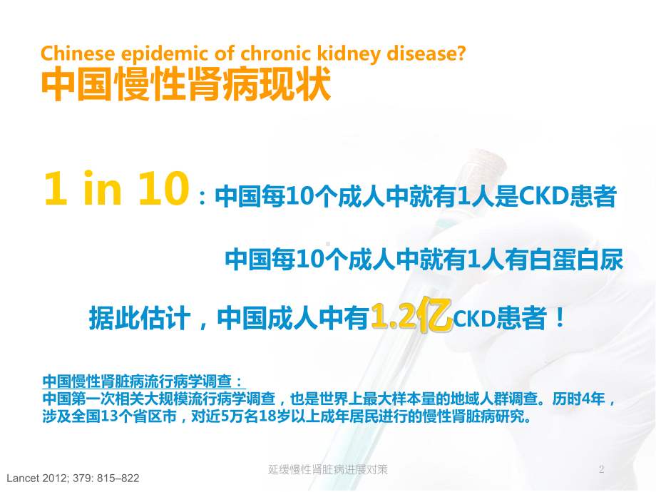 延缓慢性肾脏病进展对策课件.ppt_第2页