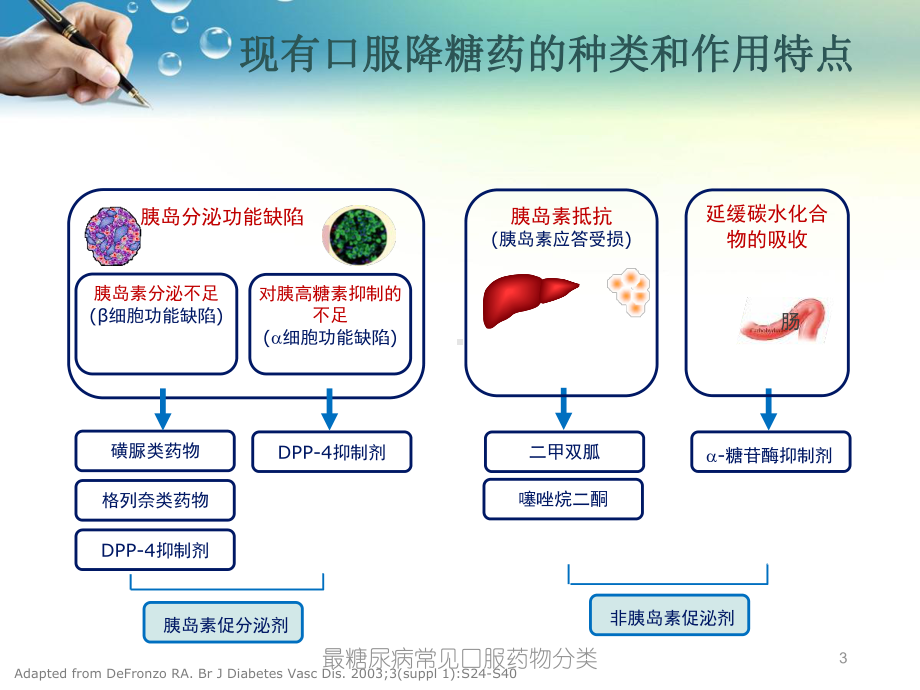 最糖尿病常见口服药物分类培训课件.ppt_第3页