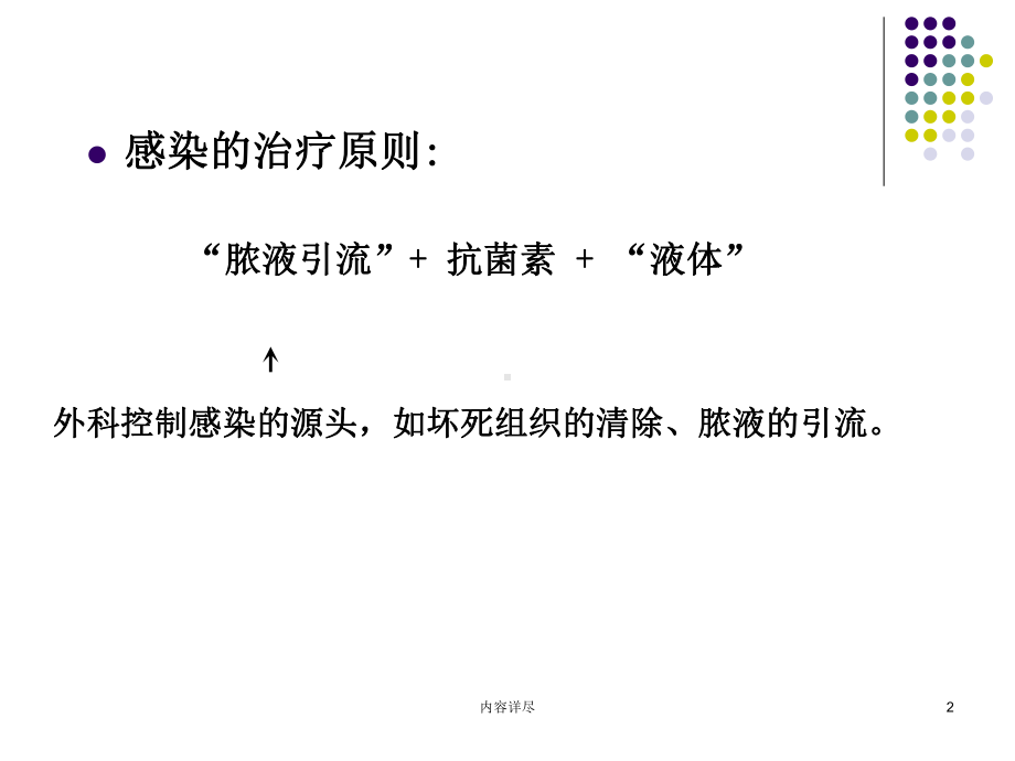 感染性休克与微循环(专业技术)课件.ppt_第2页