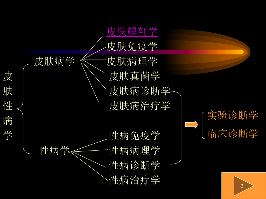 总论-皮肤性病学医学课件.ppt_第2页