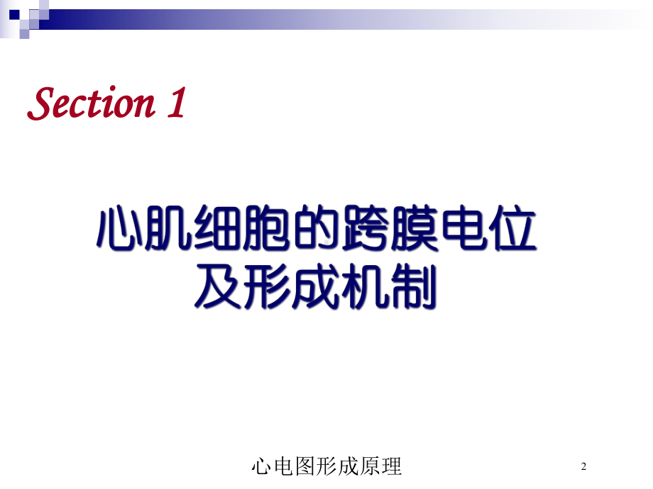 心电图形成原理培训课件.ppt_第2页