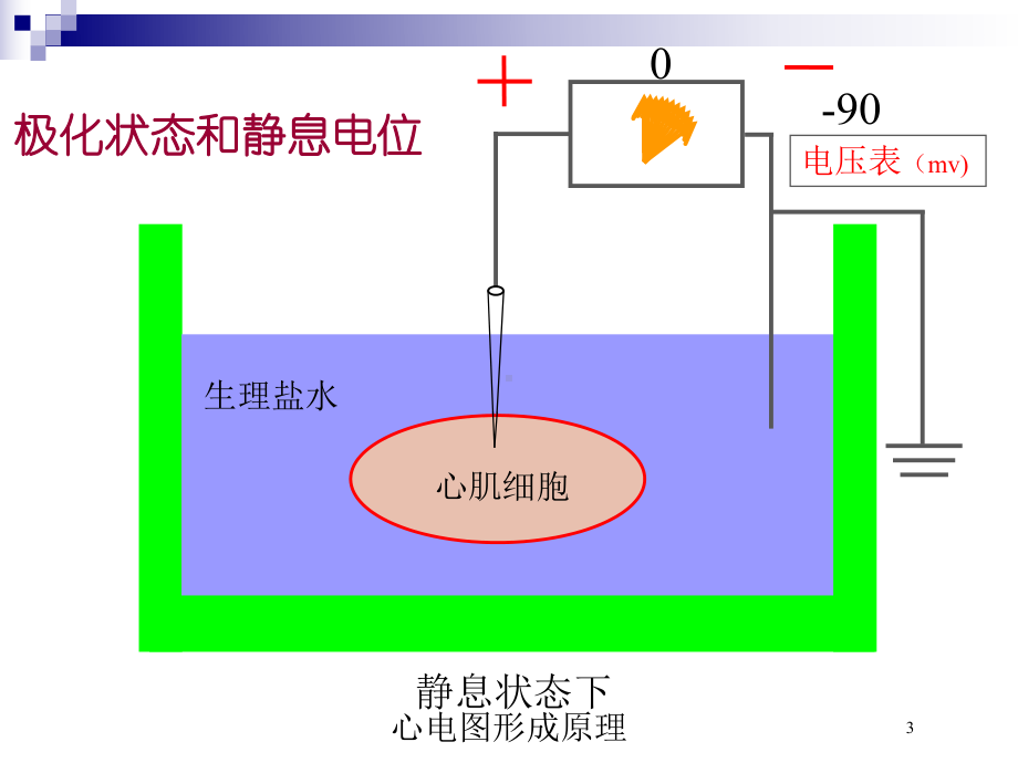 心电图形成原理培训课件.ppt_第3页