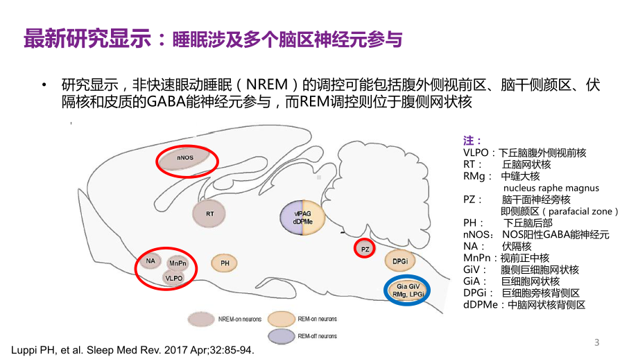 抗失眠药物选择策略课件.pptx_第3页