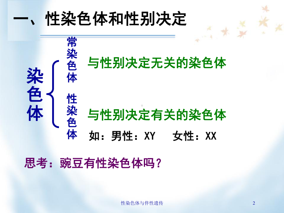 性染色体与伴性遗传培训课件.ppt_第2页