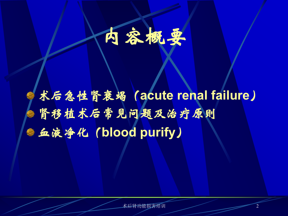 术后肾功能损害培训培训课件.ppt_第2页