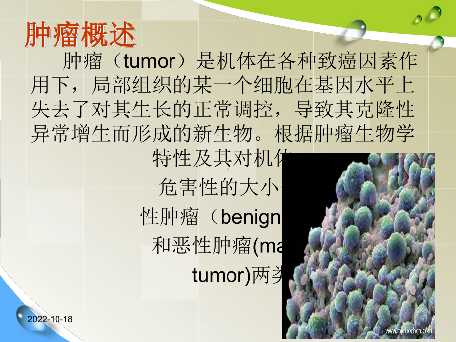 护理心理学第十章—临床各类病人的心理护理(三)课件.ppt_第3页