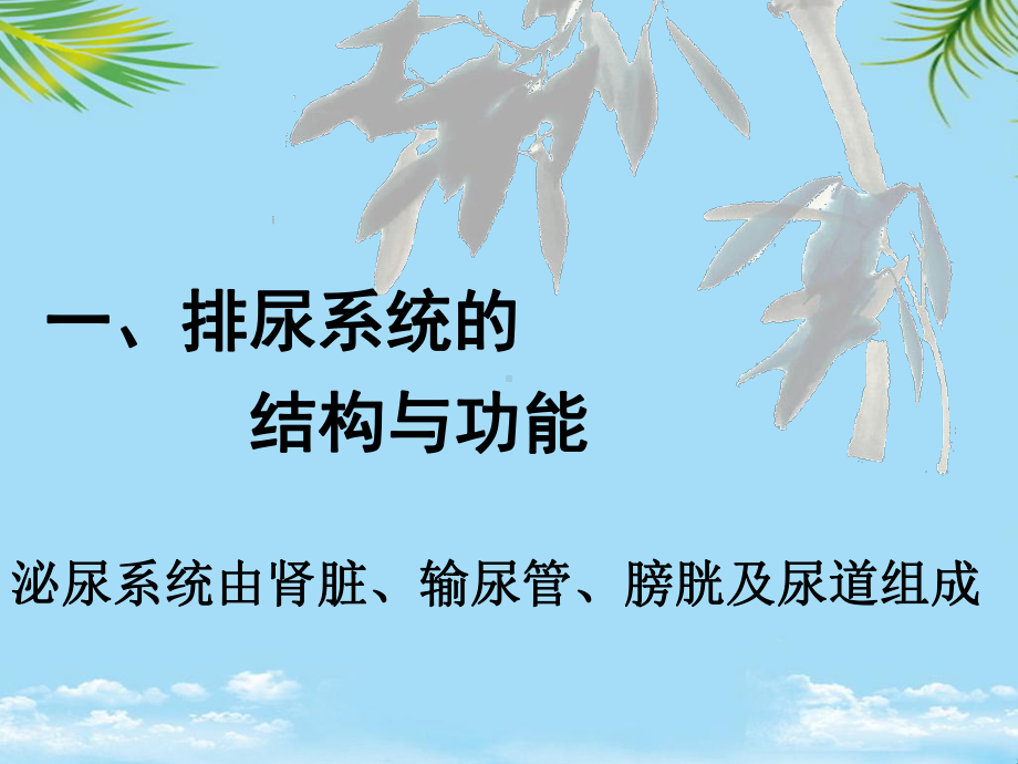 教培用课排尿护理课件.ppt_第2页