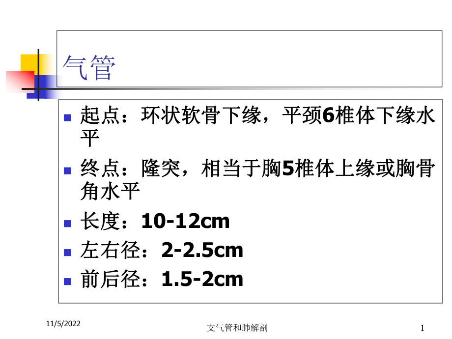 支气管和肺解剖培训课件.ppt_第1页