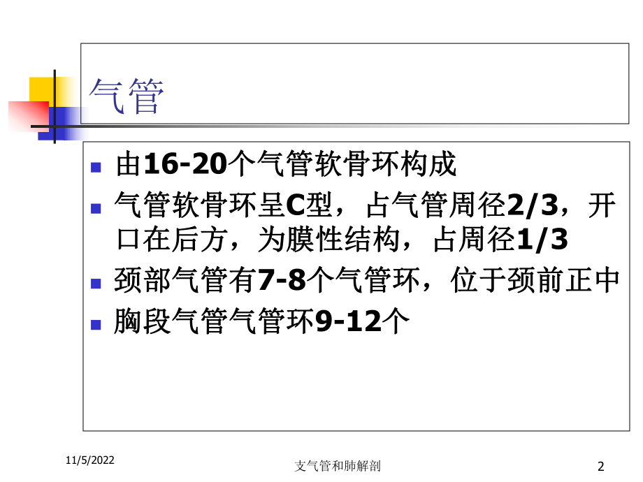 支气管和肺解剖培训课件.ppt_第2页