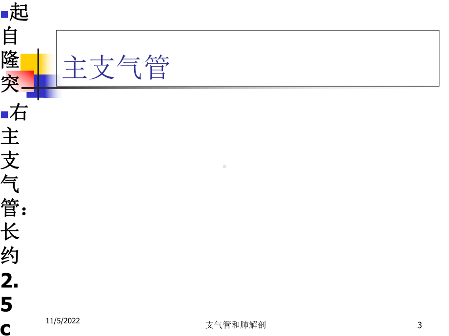 支气管和肺解剖培训课件.ppt_第3页