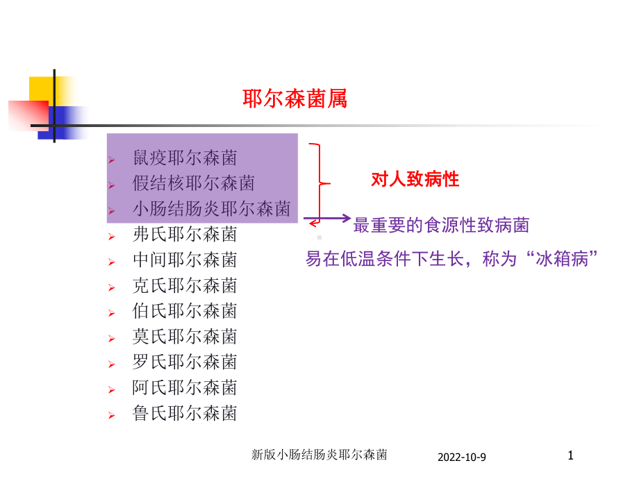 新版小肠结肠炎耶尔森菌培训课件.ppt_第1页