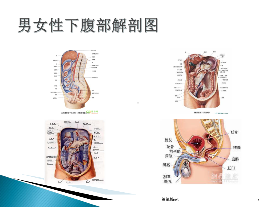 放射性肠炎课件.ppt_第2页