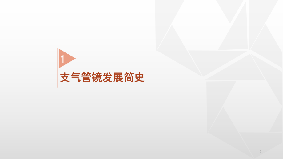 常规支气管镜检查步骤与报告书写许飞课件.pptx_第3页