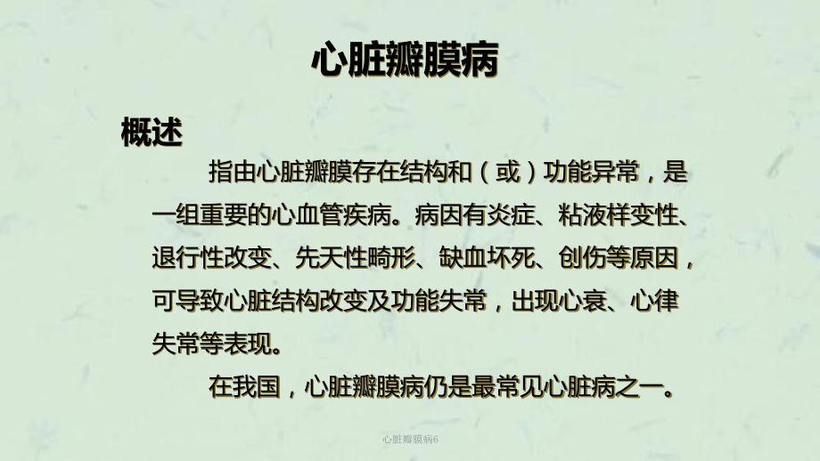 心脏瓣膜病6课件.ppt_第3页