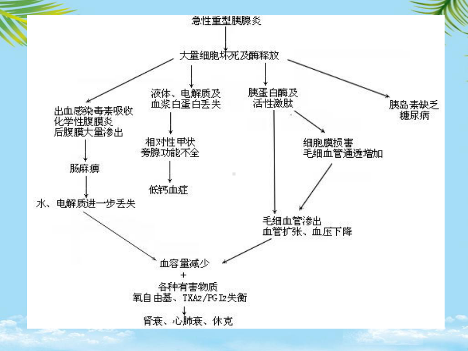 教培用重症急性胰腺炎诊治进展课件.ppt_第2页