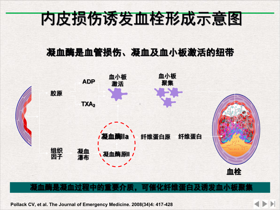 抗凝药及抗血小板药心内优选课件.ppt_第3页