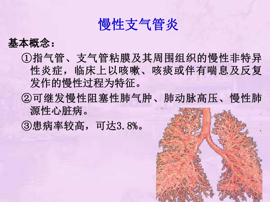 慢支肺气肿肺心病课件.ppt_第1页