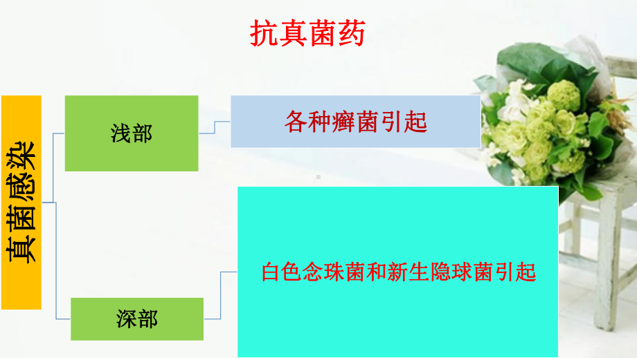 抗真菌药抗病毒药抗结核药课件.pptx_第2页