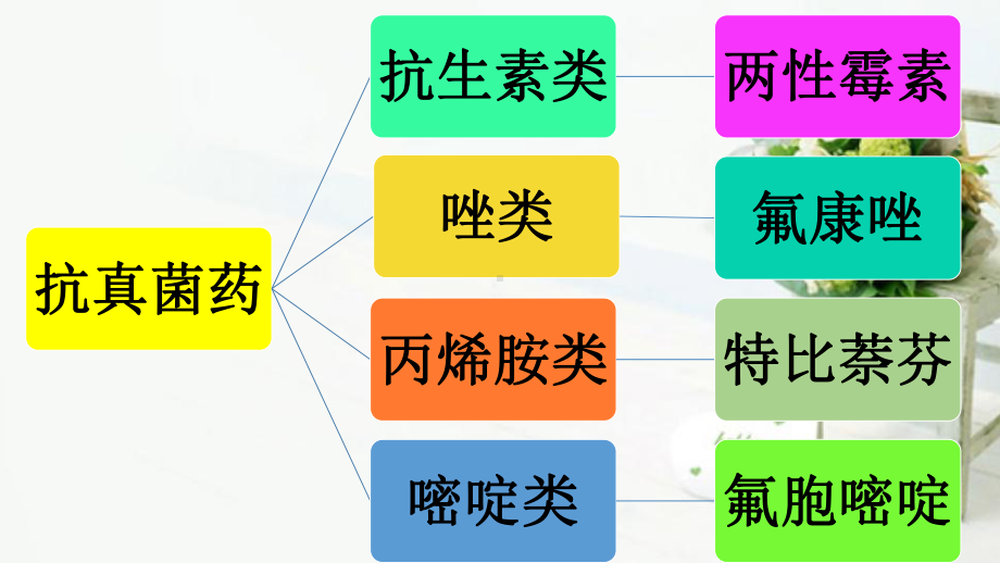 抗真菌药抗病毒药抗结核药课件.pptx_第3页