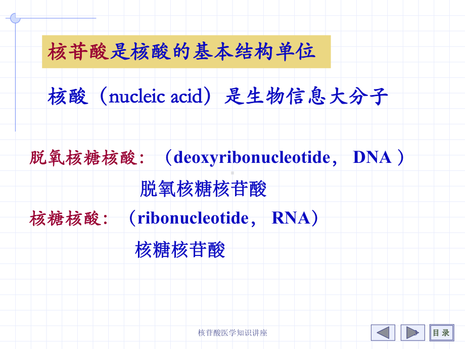 核苷酸医学知识讲座培训课件.ppt_第3页