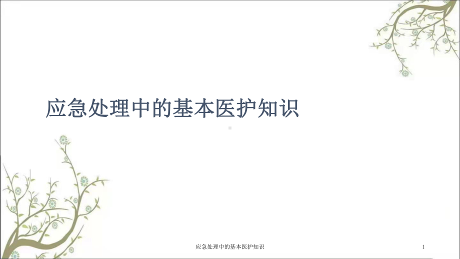 应急处理中的基本医护知识课件.ppt_第1页