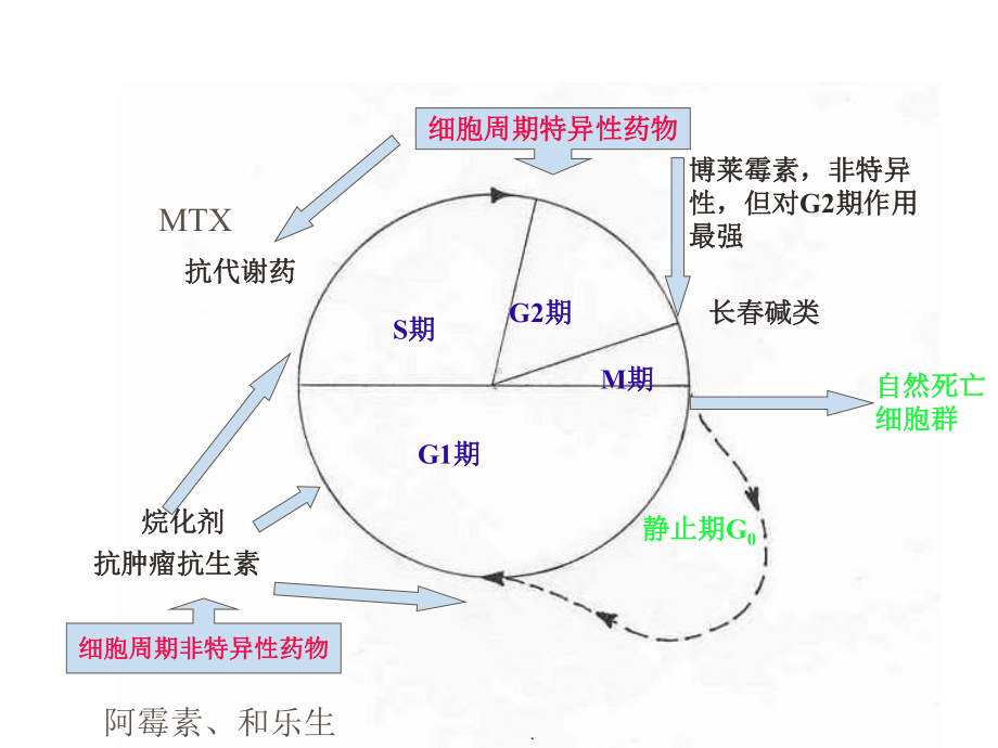 常见妇科肿瘤化疗副反应防治教学课件.ppt_第3页