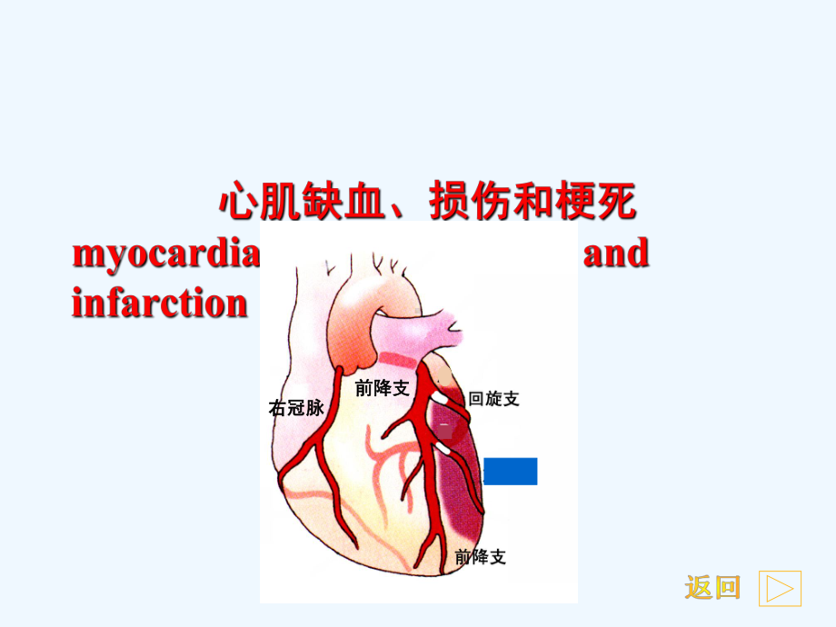 心电图基础知识教程(三)[1]课件.ppt_第2页