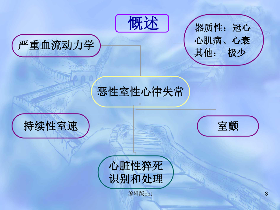 恶性心律失常的急诊治疗课件.ppt_第3页