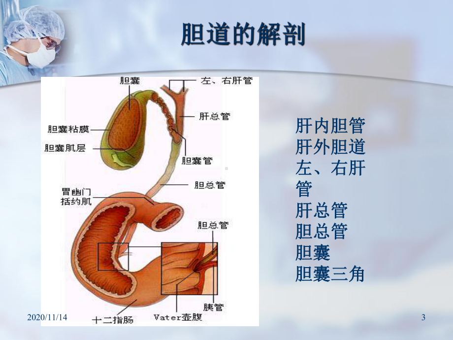 普外科护理业务查房课件.ppt_第3页