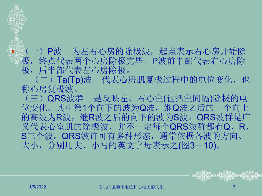 心肌细胞动作电位和心电图的关系培训课件.ppt_第3页