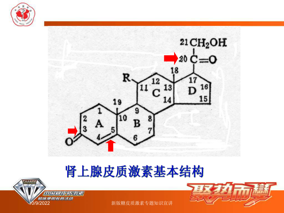 新版糖皮质激素专题知识宣讲培训课件.ppt_第3页