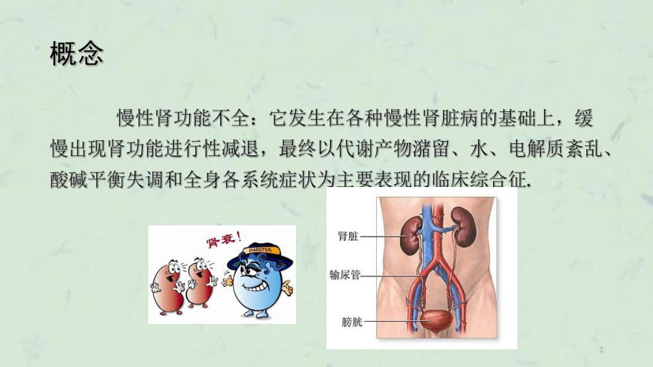 慢性肾衰竭的护理-课件.ppt_第2页