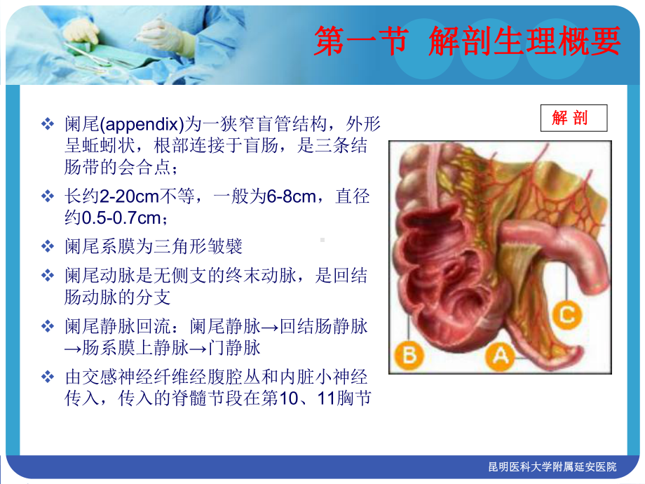 急性阑尾炎第八版课件.ppt_第1页