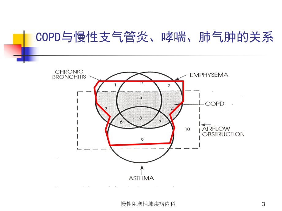 慢性阻塞性肺疾病内科培训课件.ppt_第3页