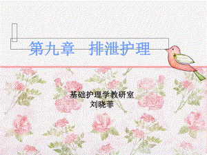 排便的护理课件.ppt