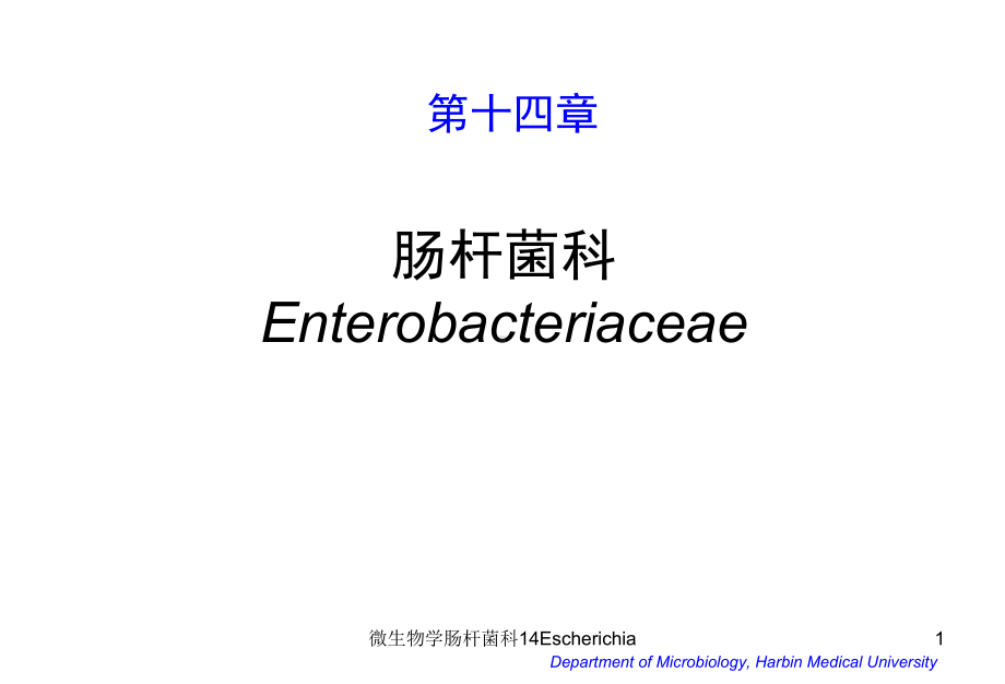 微生物学肠杆菌科14Escherichia课件.ppt_第1页