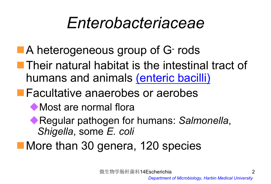 微生物学肠杆菌科14Escherichia课件.ppt_第2页