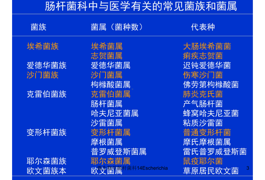 微生物学肠杆菌科14Escherichia课件.ppt_第3页