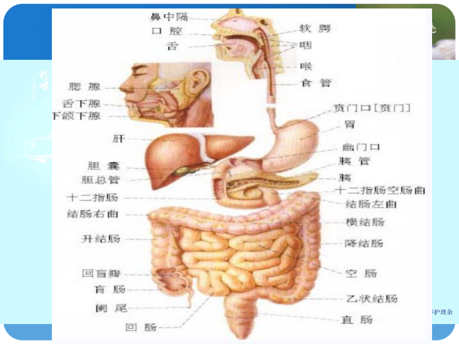 护理措施并发症观察术后胃出血课件.ppt_第3页