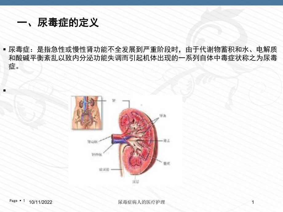 尿毒症病人的医疗护理课件.ppt_第1页