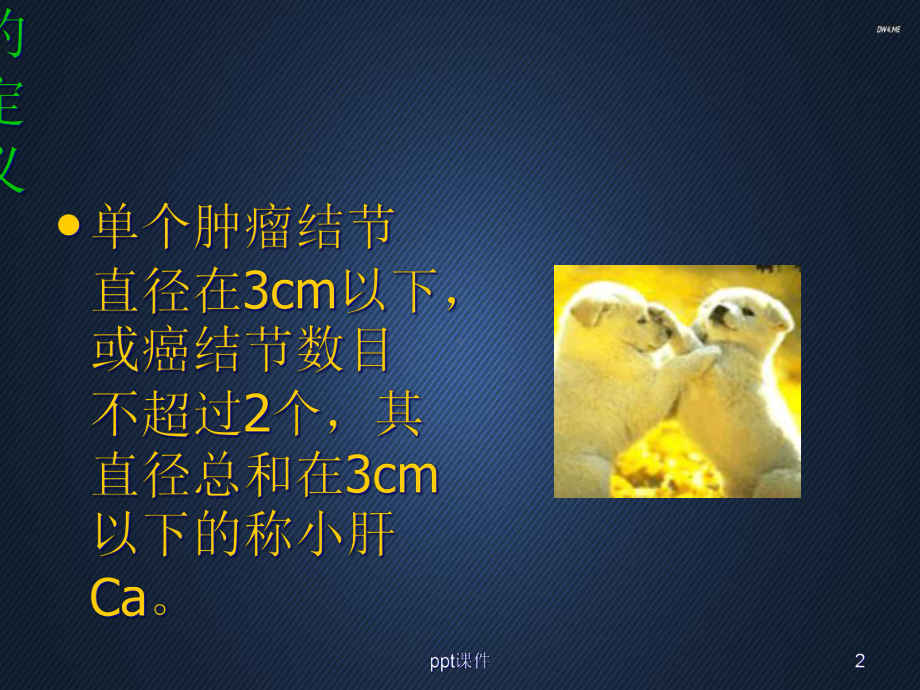 小肝Ca的螺旋CT表现-课件.ppt_第2页