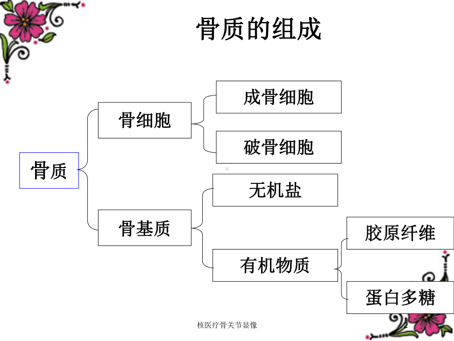 核医疗骨关节显像培训课件.ppt_第2页