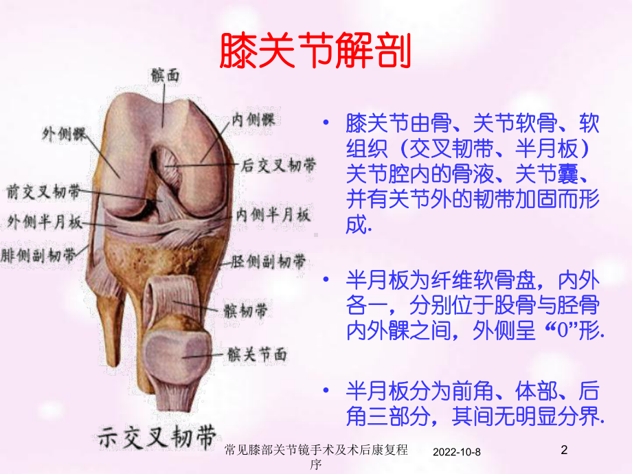 常见膝部关节镜手术及术后康复程序培训课件.ppt_第2页