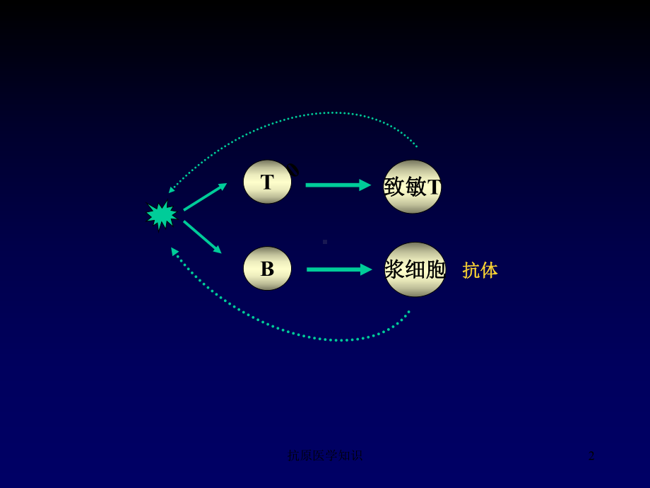 抗原医学知识培训课件.ppt_第2页